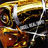ORGEL[?AL DOPE[? [CD+DVD]