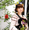 ?????????[????????? ??????????? Sincerely Dears... [CD+DVD]