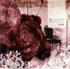 Dolly[??????????? 㳌?????? [CD+DVD]