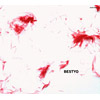 ???I?[?STYO[?CONCERTYO [CD+DVD] []