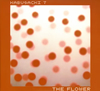 ??????????????????THE FLOWER[?THE RADIO [WPbgdl] [2CD]
