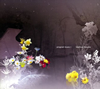 kashiwa daisuke[?ogram music 1 [fWpbNdl]