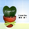 ?????[ Love You