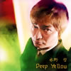 㮊????Deep Yellow