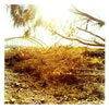 SPLAY[?TER THE MELODY ENDS [p]