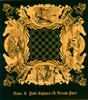 Revo[?㠋E??[?eam Port [CD+DVD]