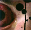 ???????????????????????????????????????????????????? [WPbgdl] [CD+DVD] []