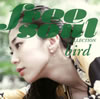 bird[???????????????