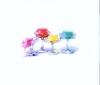 ??⸍??L?[?INTED JELLY [HQCD] [p]