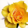 ????@????????c???????????????. ? [2CD] [SHM-CD] [][p]