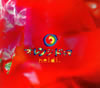 heidi.[????????? [fWpbNdl] [CD+DVD] []