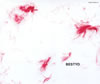 ???I?[?STYO[?INSTYO [3CD]