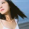 Sea Shell?????????????@?????[?VN[? ??????[?P[? [Ĕ]