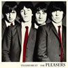 �ڥץ쥼��ȡ۸��ġȥƥॺ���ӡ��ȡɡ�THE PLEASERS���������餬���ꡪ