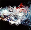 SHINSUKE FUJIEDA GROUP[?OLUTION [fWpbNdl]