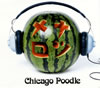 CHICAGO POODLE[??????