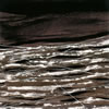 J?????[?sayuki takayanagi archive 1 [5CD] 
