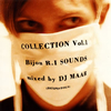 COLLECTION Vol.1 Bijou R.I SOUNDS mixed by DJ MAAR[?DEXPISTOLS[? [p]