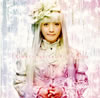 ?㮊??[?imeric voice [CD+DVD] [p]