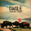 GAGLE[?OW BUT STEADY [p]