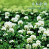???????????B?1[?[?ⶇ? K??? [2CD]