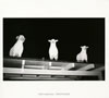 AOKI takamasa[?ACTALIZED [WPbgdl]