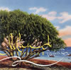 ??P?䰊?Island afternoon 2 Pacific Rim