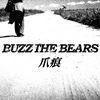 BUZZ THE BEARS[???