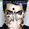 ?????????????[????????????????????????^ ?????????????? [CD+DVD] []