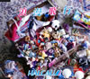 HALCALI[?䎩B??