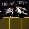 Honey L Days[? Only Dream[?lieve [CD+DVD]
