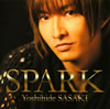 ????????SPARK 