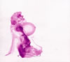 ONJT[?[?nely Woman [fWpbNdl]