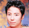 GAO[?????????????