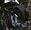 ??[?lent to my Pain [CD+DVD] []