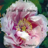 N?㦆???[?ANO SONGS Seasons