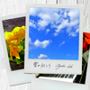 ???U?[???????? [CD+DVD] []