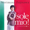 ?䏢???????'O sole mio[???????????
