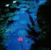 EP-4[?????????????? DELUXE [WPbgdl] [2CD]