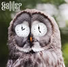 Galileo Galilei[??????????????c?