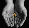 Sunya[? You...?????Y feat.AZU [CD+DVD] []