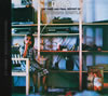 ????????????????D.o.A[???T?????? [WPbgdl] [2CD]
