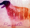 BORZOIQ[?RZOIQ [WPbgdl]