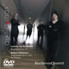 ??????????[????D?冪16?????????[????D?冪1??2??br>??????????Q [SA-CDnCubhCD] [CD+DVD]