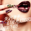?䉠?L?[?THE PLASMARS[?UTE 405
