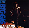 ????????[?E BIG GIG [2CD] [SHM-CD]