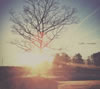 L.E.D.[? motion [fWpbNdl]