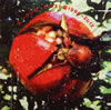 ???A?????????????????996??2012 [WPbgdl] [SHM-CD]