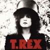 T.REX[?e Slider 40?S?^????? [2CD+DVD] []