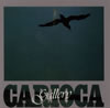 ?????GALLERY [SHM-CD]